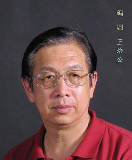 王培公